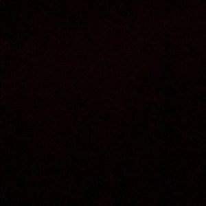 Meet your Posher, Priya